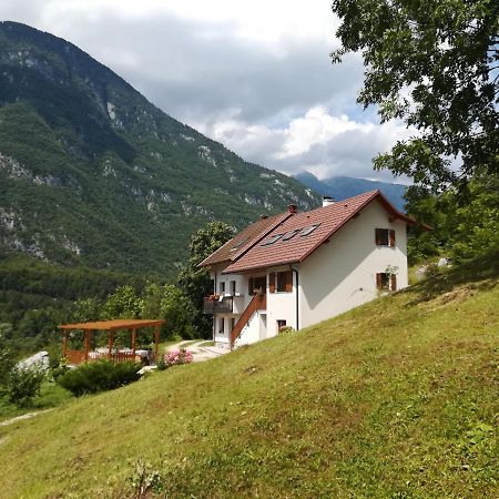 Apartmán Apartma Elizabeth Srpenica Exteriér fotografie