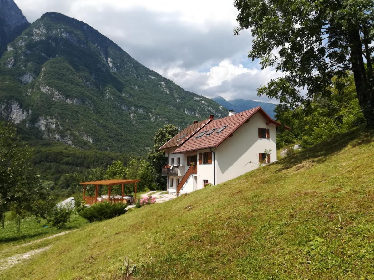 Apartmán Apartma Elizabeth Srpenica Exteriér fotografie