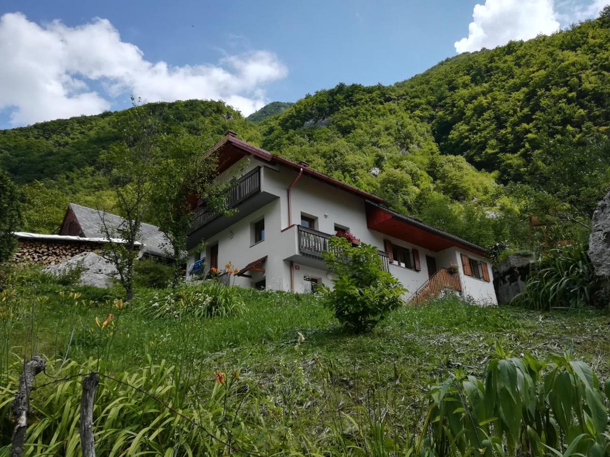 Apartmán Apartma Elizabeth Srpenica Exteriér fotografie